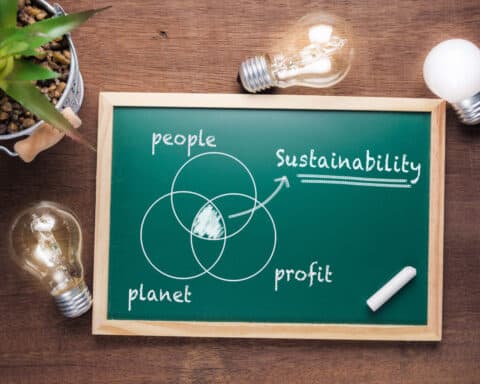 Wie wichtig ist Nachhaltigkeit für mein Unternehmen?