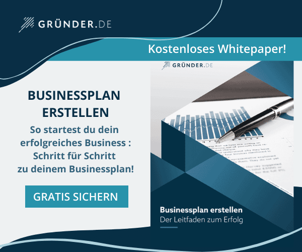 Businessplan erstellen (Whitepaper)