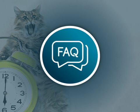 Gruender FAQ AdobeStock_162610897 Arbeitszeiterfassung systematisch